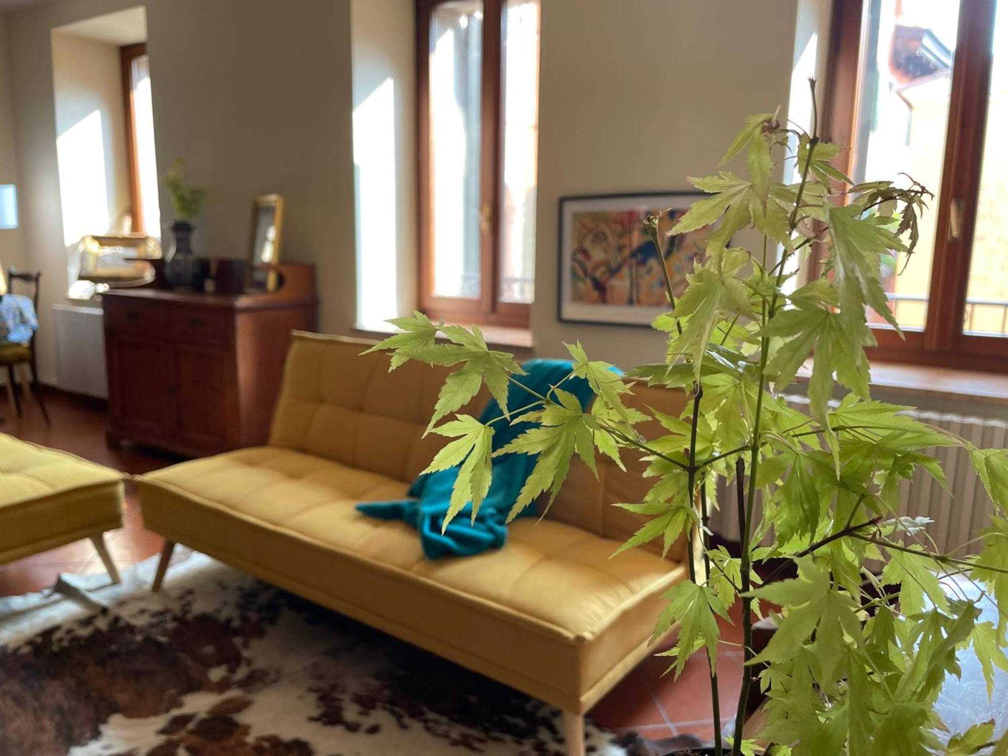 Apartament Montecchi House Werona Zewnętrze zdjęcie