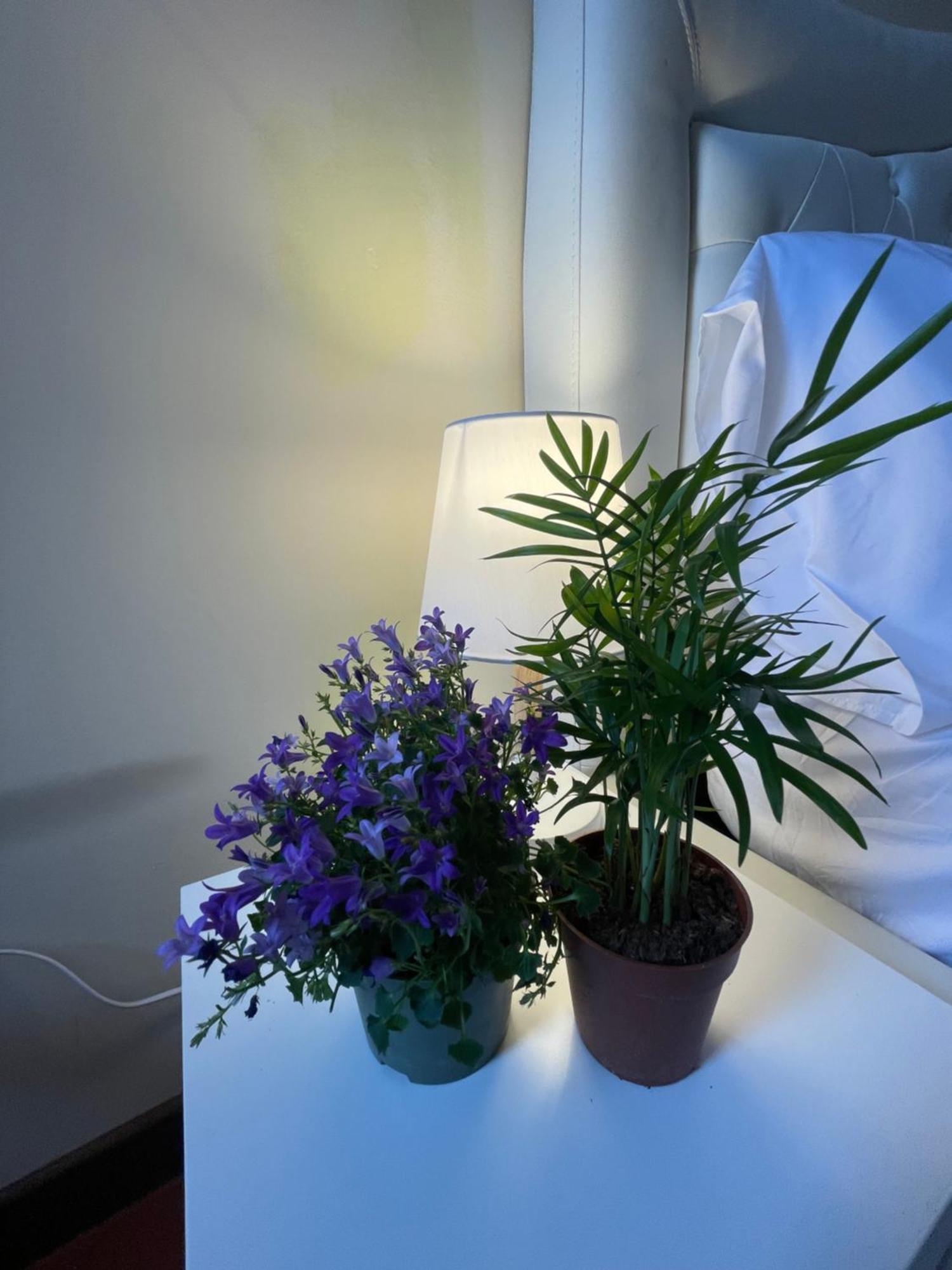 Apartament Montecchi House Werona Zewnętrze zdjęcie